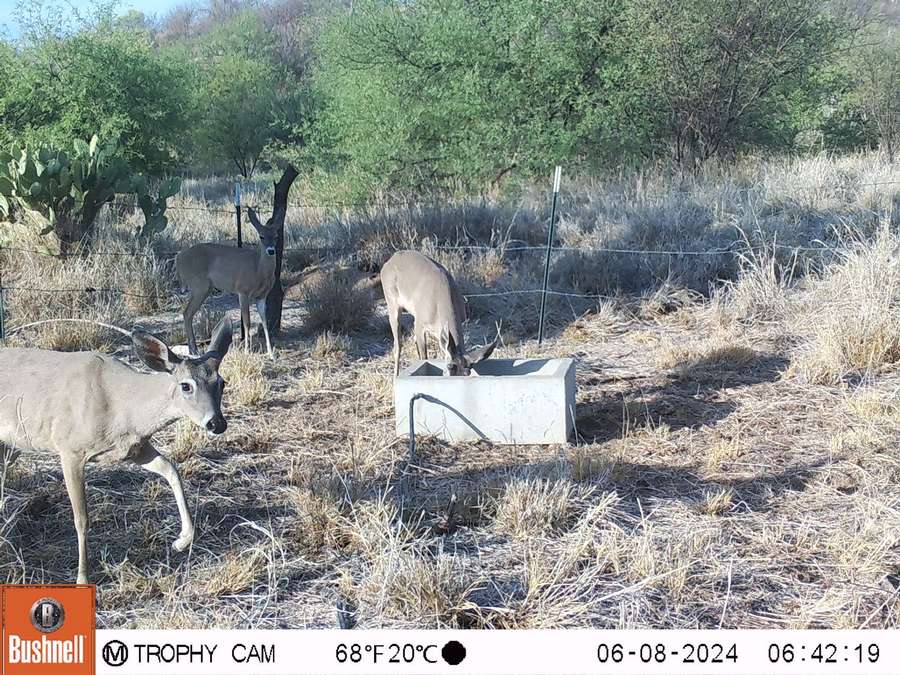 PHOTO-2024-06-10-15-00-55 2.jpg